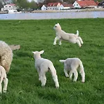 Treenehof بيت ضيافة فرييدريشتادت