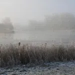 Pensjonat Treenehof