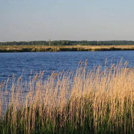 Maison d'hôtes Treenehof Friedrichstadt